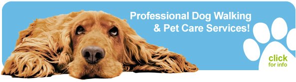Click here to learn more about our dog walking and pet care services